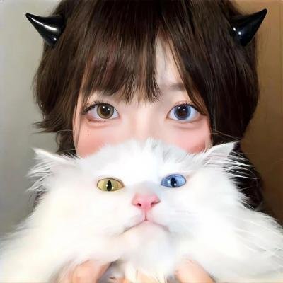 情谜郁金香